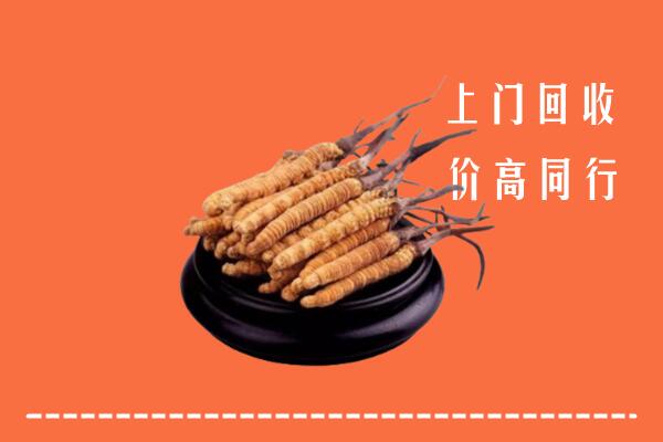 高价求购：嘉兴市桐乡市回收散虫草