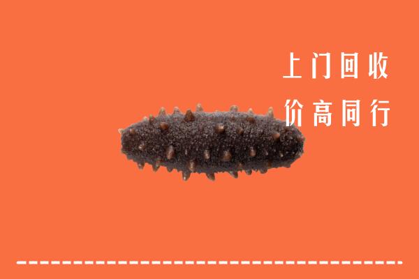 高价求购：嘉兴市桐乡市回收海参