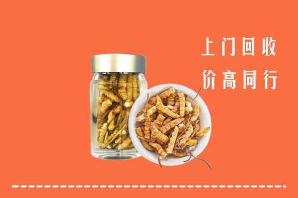 嘉兴市桐乡市回收冬虫夏草