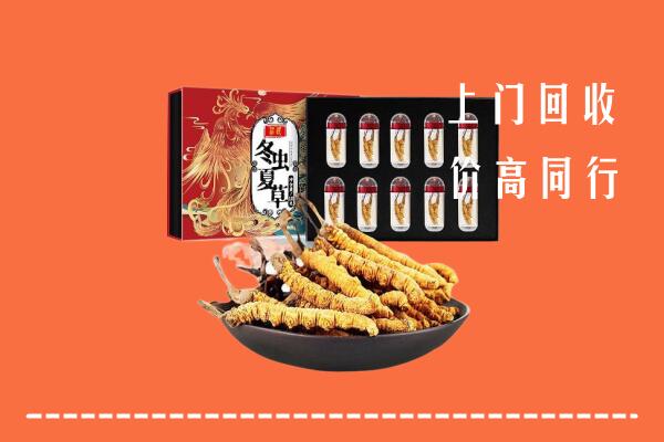 嘉兴市桐乡市回收虫草